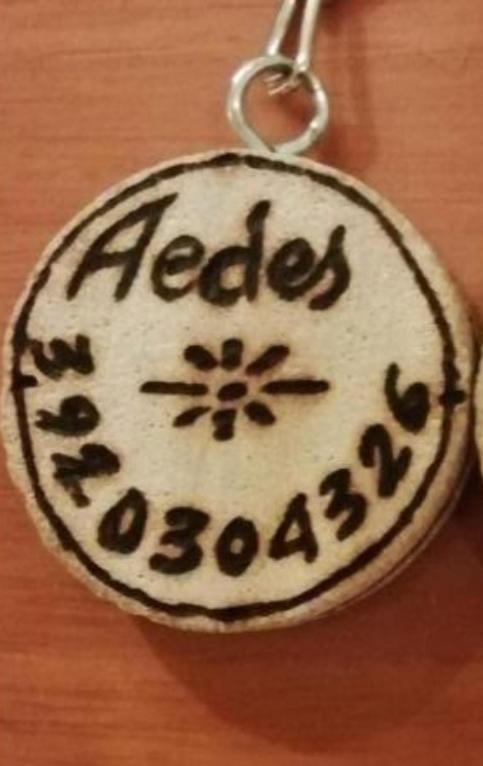 Gruppo Aedes Alghero, Residenza Michelangelo - 500 Mt Dalla Spiaggia المظهر الخارجي الصورة
